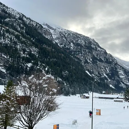 Διαμέρισμα Mountain