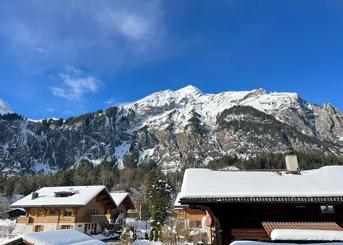 Apartamento Mountain Kandersteg